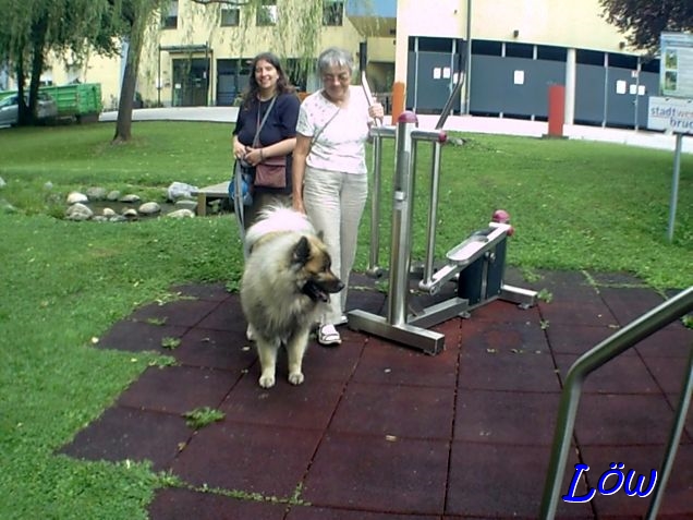 22.8.2025 - Fit mach mit